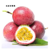 在飛比找蝦皮購物優惠-✨百香果種子 四季水果 台灣滿天星 黃金百香果種子 四季種植