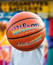 wilson evolution basketball 29.5 EVO EDITION TECHNICOLOR Limited Edition