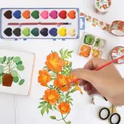 8/16 Colours Watercolour Paint Block Set Drawing Tin Box Set New