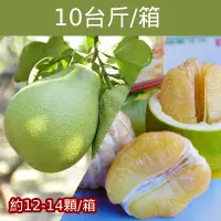 在飛比找台灣好農優惠-【柚香美地】產銷履歷麻豆文旦(10台斤/箱)(約12-14顆