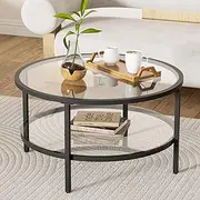 DIYART Black Glass Coffee Table, 29.5 Inch Round Modern Coffee Table, 2-Tier Round Glass Coffee Table for Living Room, 29.5" D x 16.5" H