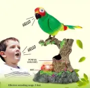 Talking Parrot Repeats Whatever You Say