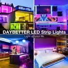 DAYBETTER LED Strip Lights 100ft, Smart Lighting with App Remote Control, RGB LE