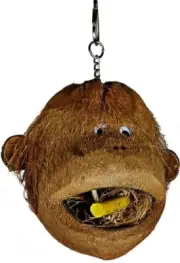 A&E Cage Company Happy Beaks Coco Monkey Head Birds toy