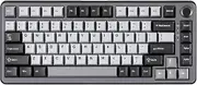 YUNZII RT75 Rapid Trigger Gaming Keyboard Hall Effect Keyboard Magnetic Switch Adjustable Actuation Esports 75% Layout,TKL,Mechanical,RGB,PBT Keycaps (Black, Gateron Silky Pro)