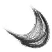 Simulated Cat Whiskers for Needle Felting Face Office Bridegroom