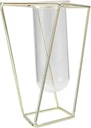 BESPORTBLE 1Pc Geometric Iron Art Flower Planter with Glass Tube Vase Short Hydroponics Container for Decorative Green Plants Birthday Home Decor Golden Finish