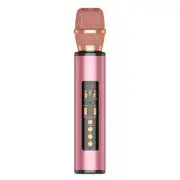 Karaoke Wireless Bluetooth Microphone for Android/iPhone/PC - Pink