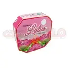 DARSHAN COIL - Lotus Incense (10 Coils) Meditation Aroma Fragrance