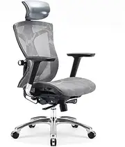 [SIHOO] Ergonomic Office Chair with 4D Arms, 2-Way Lumbar Support, Depth Adjustable Seat, PU Headrest, Height Adjustable Backrest, High Back Computer Desk Chair (Grey)