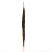 10" to 20" Golden Pheasant Side Tail Feather - Dusty Pink ((SECONDS))