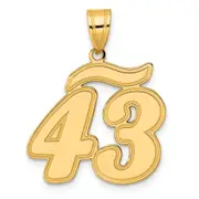 14k Yellow Gold Brushed Border Script Number 43 Pendant
