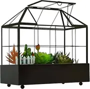 Large Tall Plant Terrarium Glass – Glass Greenhouse Terrarium with Lid and Tray,Indoor Tabletop Orchid Succulent Cacti Terrarium Kit 9.5”X9.8”X5.6” NA (Black C)