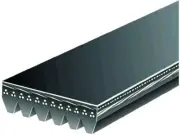 Gates 77RM98V Multi Rib Belt Fits 2006-2007 BMW 525xi 3.0L 6 Cyl GAS (for: BMW)