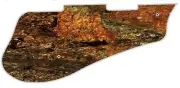 Pickguard Pick Guard 5120 Graphical Graphic Guitar Rocky Vibe