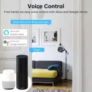 CORUI Tuya WIFI Smart Light Switch 2-gang Switch Module Switch APP Control