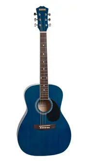 Redding 3/4 Acoustic Guitar - Trans Blue (Model RED34TBU)