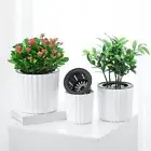 Plant FlowerPot Self Watering Flower Pot Succulent Plant Pot Flower Pot Vase