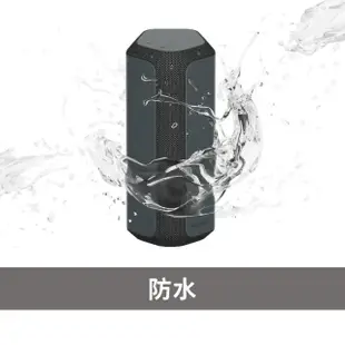 【SONY 索尼】SRS-XE200可攜式無線藍牙喇叭(台灣公司貨 保固365)