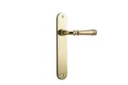 Iver Verona Door Lever Handle on Oval Backplate Polished Brass