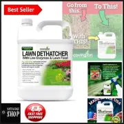 Eco-Friendly 32 Oz Lawn Dethatcher & Aerator: Covers 10,000 sq ft Efficiently
