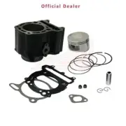 Group Thermal cylinder Aprilia Leonardo 250 403351025