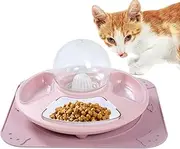 Cat Food Bowl, Pet Food Water Bowl, Multifunctional Feeding Dish for Kittens, Anti-Slip Pet Watering Container, Automatic Water Refill