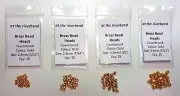 Gold Cyclops Brass Bead Heads in 2.4mm 2.8mm 3.2mm & 3.8mm for Fly Tying