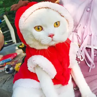 【QIDINA】寵物法蘭絨聖誕節派對裝/寵物保暖裝-C款(寵物領巾 寵物服飾 寵物衣服 貓衣服 狗衣服)
