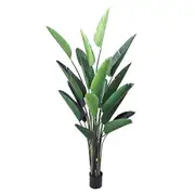 [Florabelle Living] Bird Of Paradise Plant 2.5M