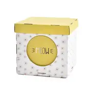 Paws For Life Magic Box Cat Tunnel