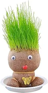 Grass Head Doll Plant | Grass Seed Green Plants Bonsai Pots | Eco Friendly Grass Head Plants Potted | Grasshead Hair Grow Toy for Home, Officee, and Classroom