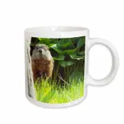 3dRose Groundhog Peek Mug