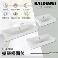 在飛比找蝦皮購物優惠-🔥 實體店面 電子發票 KALDEWEI 德國製造 SILE