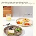 22cm Simplistic Compartment Plate Plastic Serving Tray Suitable for Healthy