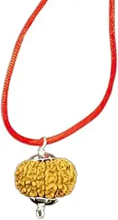 [Vishaka Arts] Natural 12 Mukhi Rudraksha From Nepal IGL Lab Certified 26mm-28mm Silver Pendant, 26mm-28mm, Rudraksha, No Gemstone