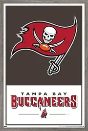 Trends International NFL Tampa Bay Buccaneers-Logo 21 Wall Poster, 14.725" x 22.375", Barnwood Framed Version