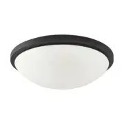 Button LED - 17"- Flush with Frosted Glass - Black Finish