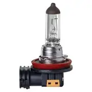 Ignite H8 35W Halogen Globe with PGJ1-1 Base - Pack of 1 - IGL2801BL