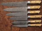 CUSTOM MADE DAMASCUS BLADE 6Pcs. CHEF/KITCHEN KNIVES SET + bag
