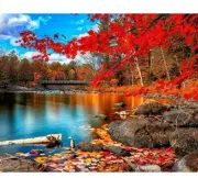 DIY Acrylic Paint by Numbers Kits 20x16Inch "Maple Autumn Park" No Frame