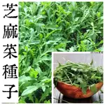 日式園藝造景🌱（芝麻菜種子）齒葉芝麻菜 裂葉芝麻菜箭生菜 芝麻菜種子 貝比菜 貝比菜種子 具有芝麻菜香味.可炒食.微型