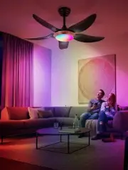 42" Low Profile Ceiling Fan with Lights, Remote & APP Control, Dimmable LED w...