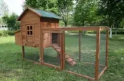 Outdoor Chicken Coop 4-6 Chickens 80" Run With Hutch/ Asphalt Roof