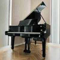 在飛比找蝦皮購物優惠-小童鋼琴 Yamaha C3 週年紀念琴 原廠自動演奏系統 