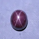 166 Ct 30.8x26x17 MM Natural 4-Ray Star Garnet Oval Shape Cabochon Gems