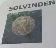 2019 Retired IKEA Solvinden Solar Powered Fabric Hanging Lamp Pink Green Floral