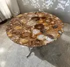 Petrified Wood Table top, Coffee Table, Gemstone Center table, Agate Round Top