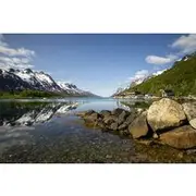 Save 20.00%! Fjord Adventure Tour in Tromsø with Wildlife and Lunch