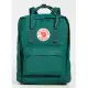 【Fjallraven】Kanken Classic 北極狐 綠色 小狐狸 瑞典 書包 空肯包 方型 後背包 背包 放水壺 男包 女包